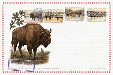 Żubry — Bison Bonasus · VI Zjazd PZKF